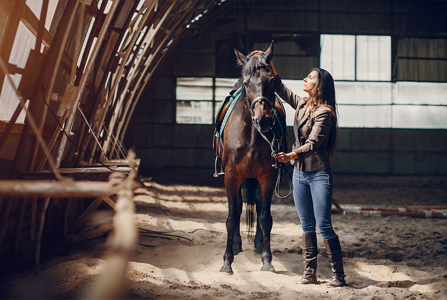 Fid'Equin : Photo avec au centre d'une carrière d'entrainement de sable, une cavalière avec son cheval. Lumière naturelle de biais.