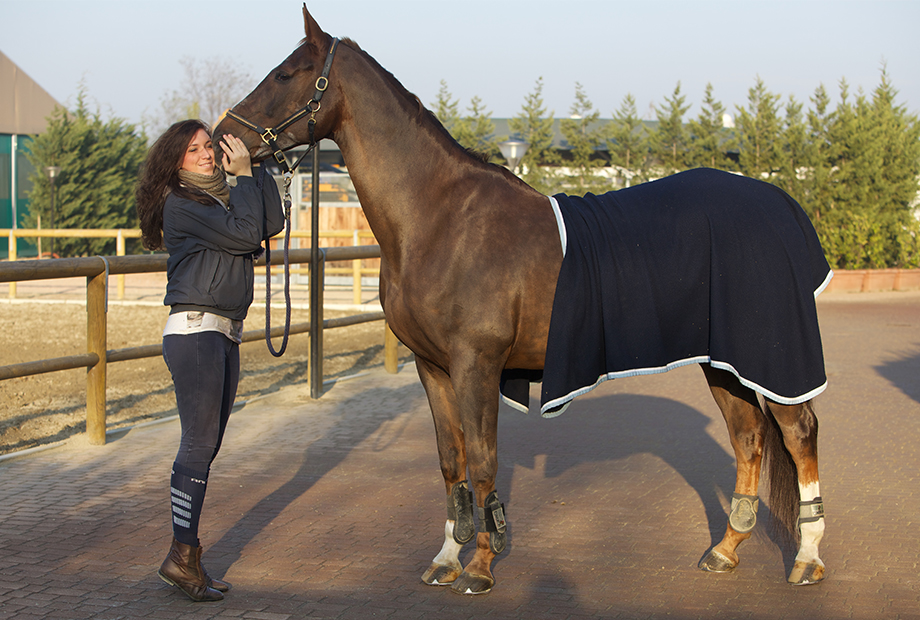 Fid'Equin, cavalière qui présente son cheval baie avant une compétition