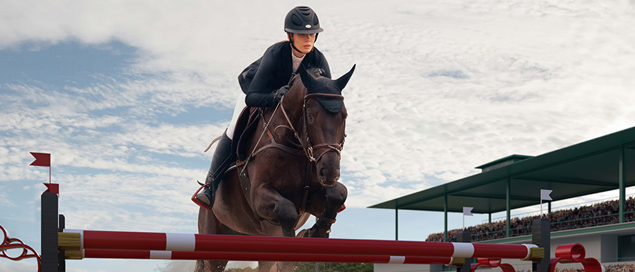 Fid'Equin : Photo d'une cavalière sur un cheval en pleine compétition équestre dans un hippodrome. Elle porte l'équipement adapté pour cavalier. Le cheval saute une haie. L'arrière fond est un ciel bleu avec des nuages.