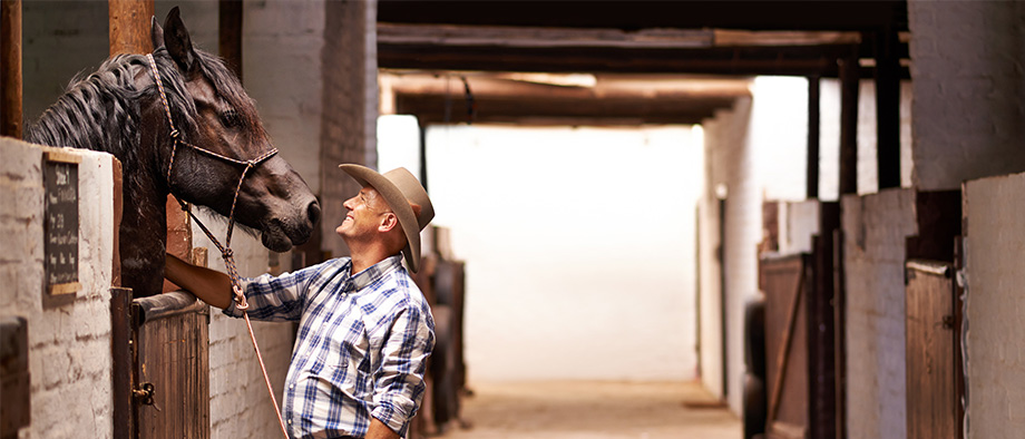 Fid'Equin : Photo d'un propriétaire à droite, dans son écurie. L'homme, avec un chapeau, sourit à son cheval. Il le caresse de sa main droite.