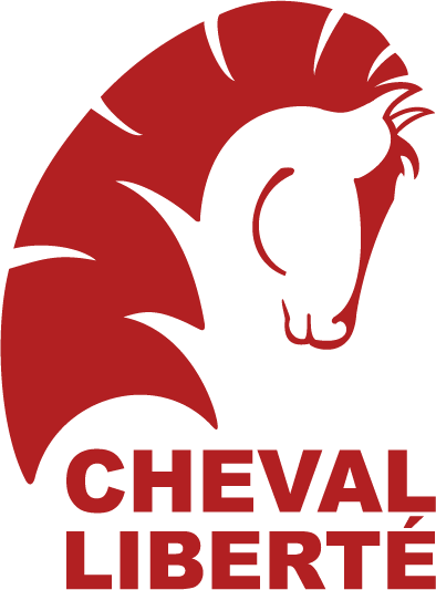 Logo cheval liberte Gregory Rulquin