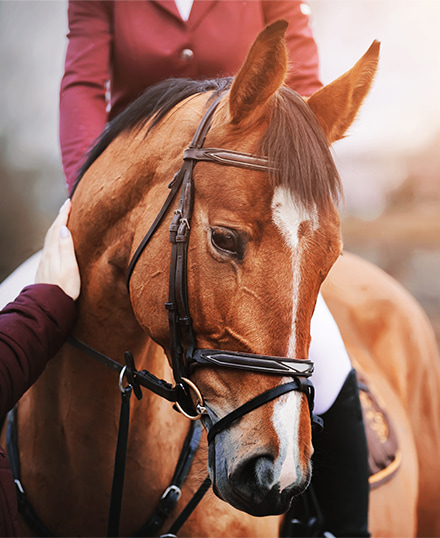 comptabilite-besoin-dun-conseil-s