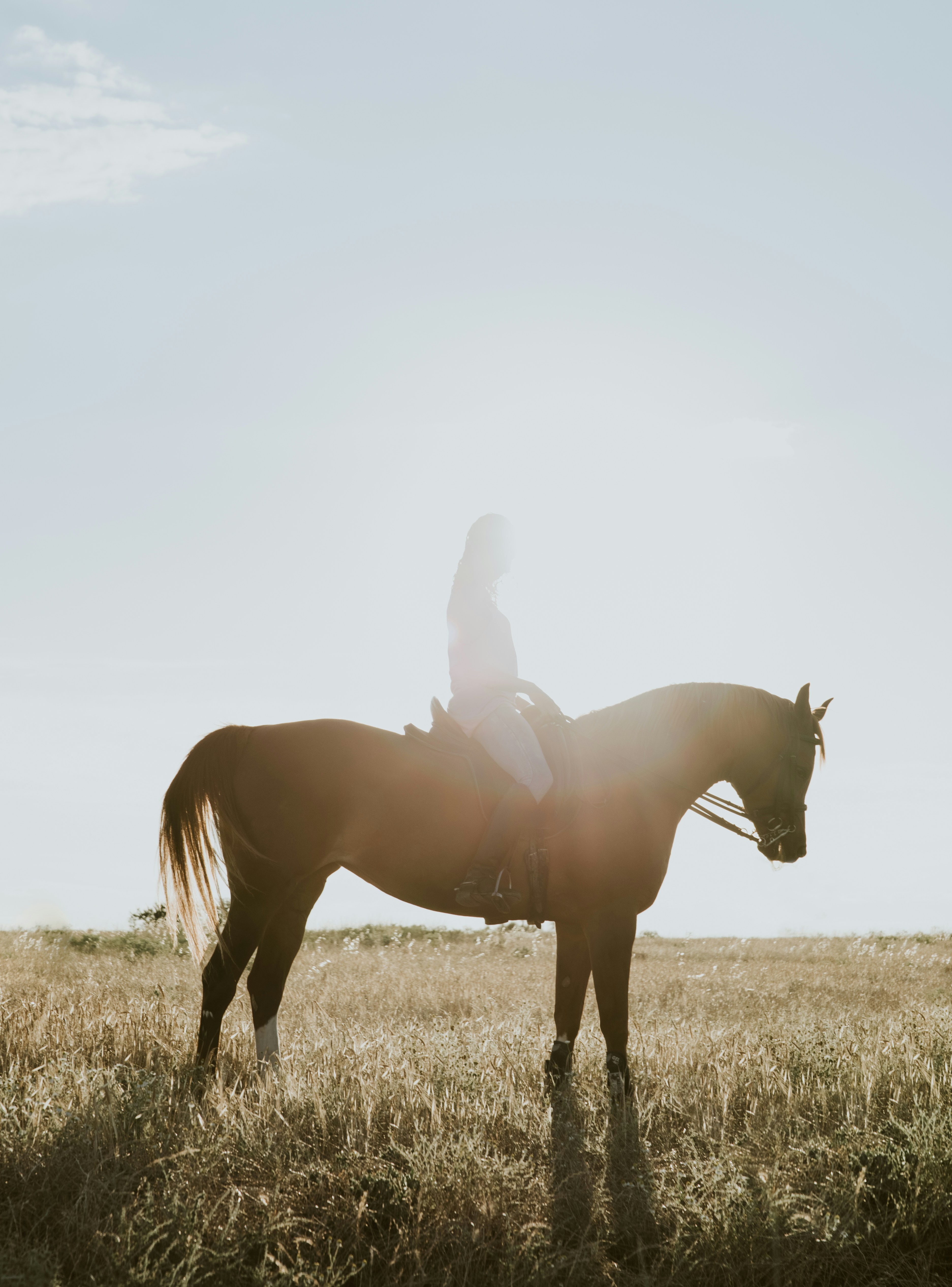 Photo d'une cavalière sur un cheval dans un champ avec un paysage ensoleillé.