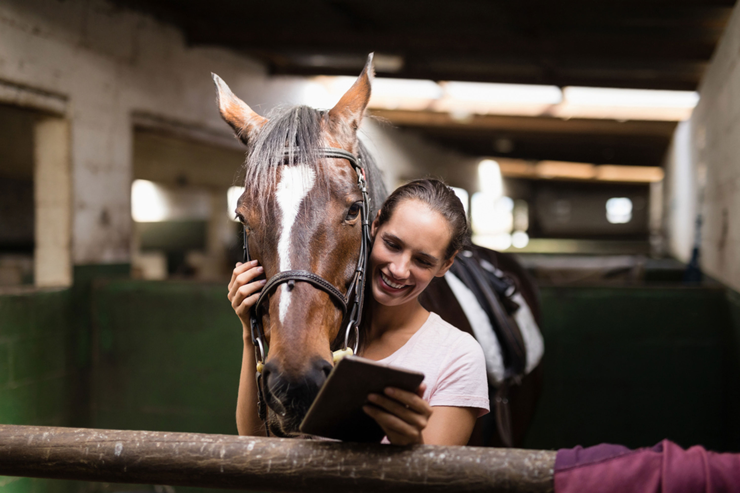 Fidequin photo femme cavalière avec son cheval et sa tablette pour les réseaux sociaux article roi site internet